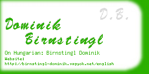 dominik birnstingl business card